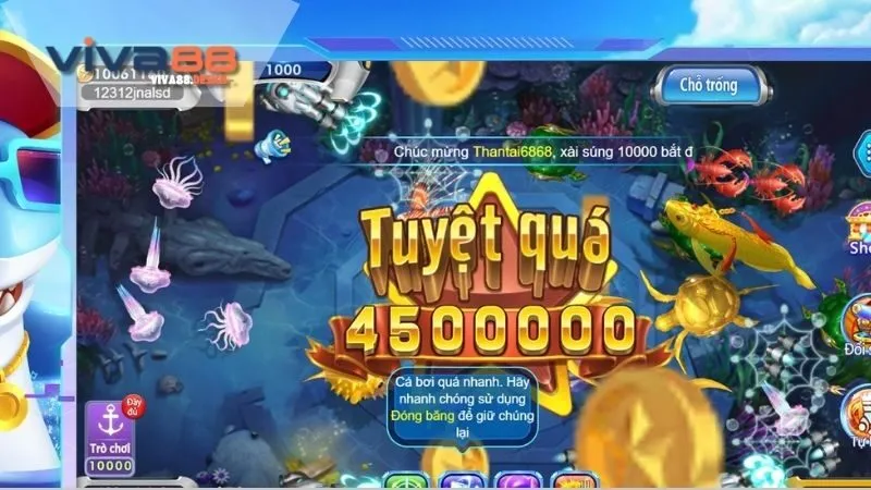 ban-ca-than-rong-meo-choi